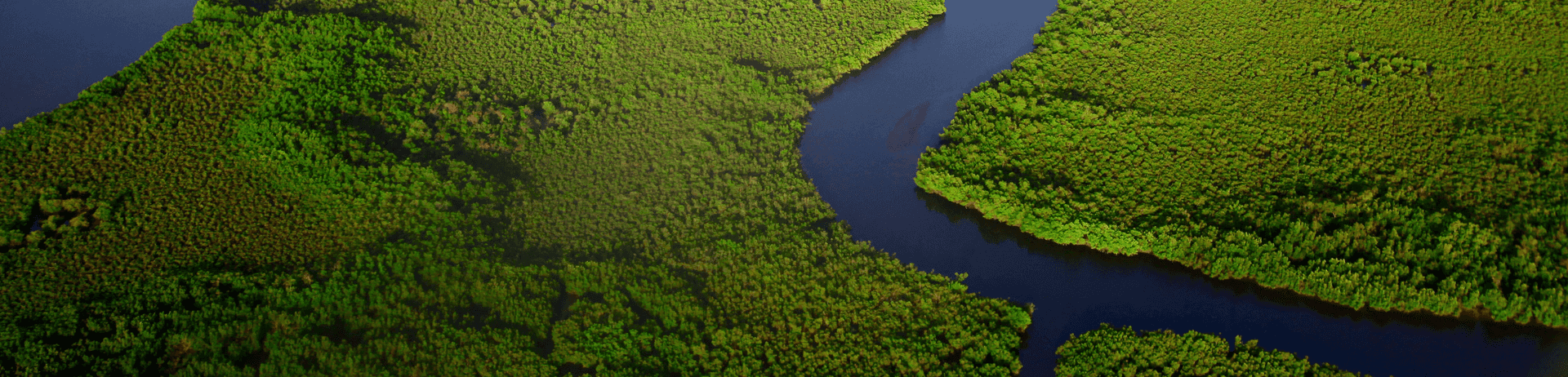 Gambia from above